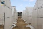 Stainless Steel Sigma Hoop House Greenhouse With Hydroponic Growing System