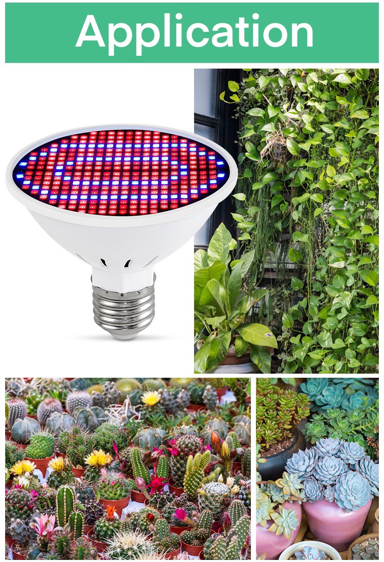 3000K SMD2835 LED Indoor Plant Grow Lights Bulb For Seeds Greens