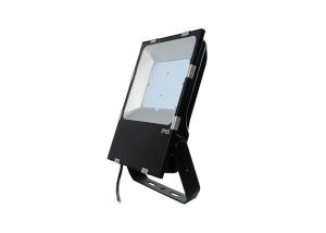 China High Lumen Outdoor LED Flood Lights 100w Led Floodlight Outdoor 50/60Hz wholesale
