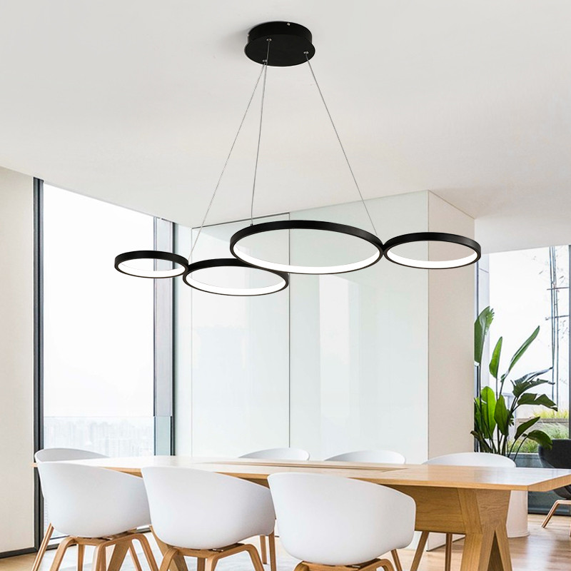 Aluminum lamp body simple, warm, two color, fantastic concept Chandelier