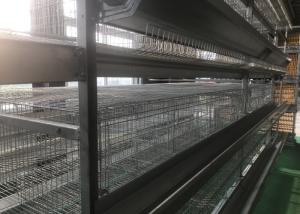 China Industrial Poultry Farm Feeding System Comfortable Cage Poultry House wholesale
