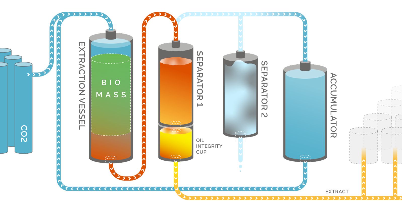 supercritical co2 fluid extraction