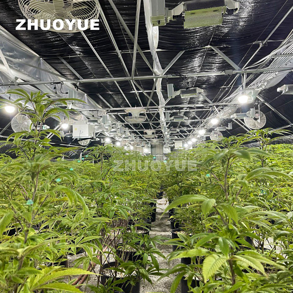 OEM ODM Irrigation System Light Deprived Greenhouse Horticultural Solution