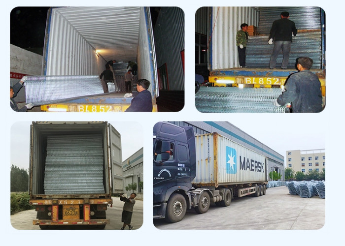Industrial Battery Broiler Cage System Enriched Cages For Laying Hens