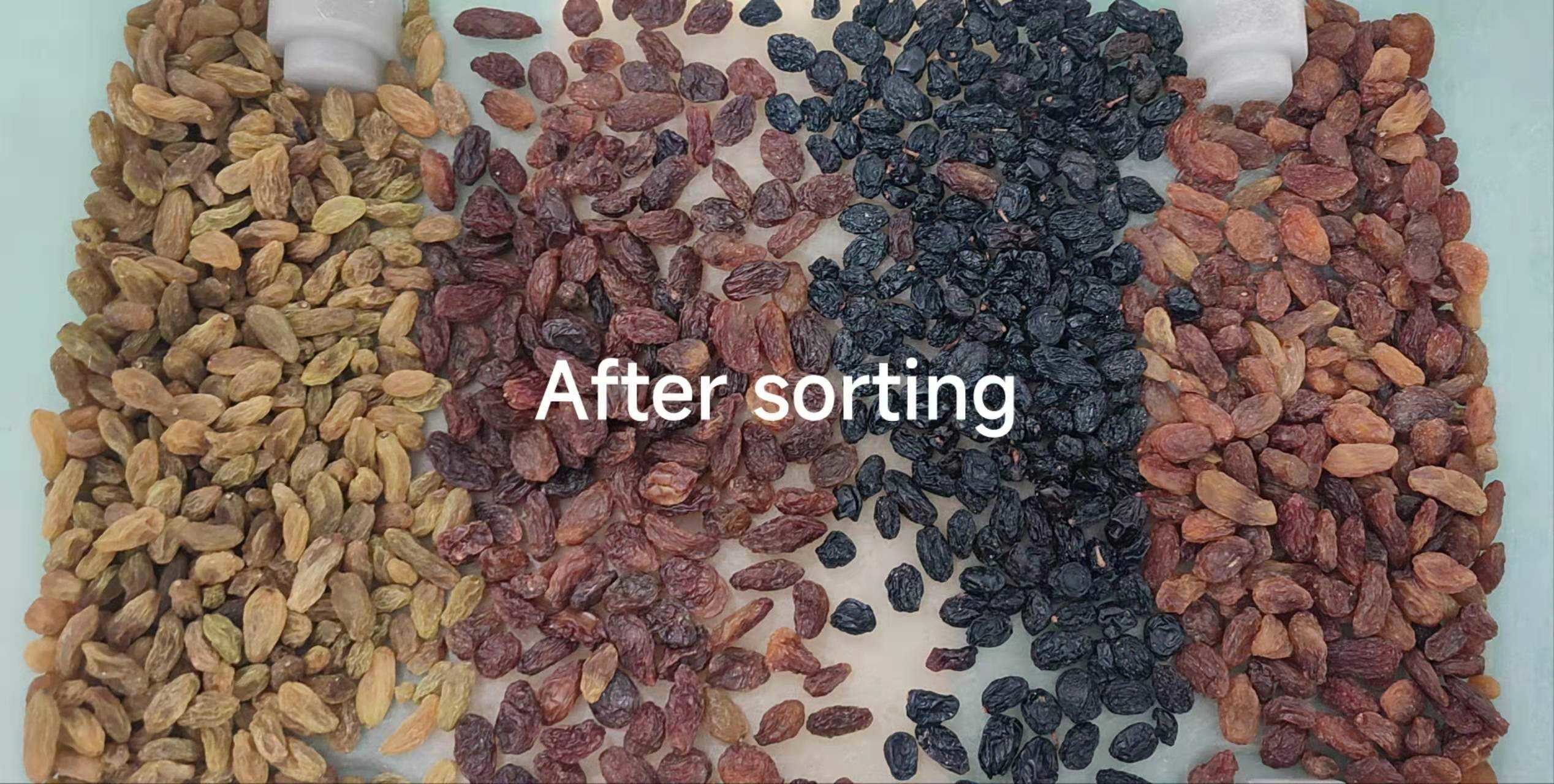 Automatic Macadamia Nut Color Sorter Nuts Color Sorter Macadamia Kernel Shell Separator Equipment