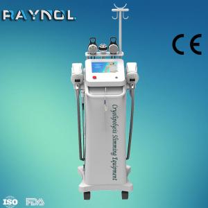China Multifunction RF Cavitation Cryolipolysis Machine For Salon / Hospital wholesale
