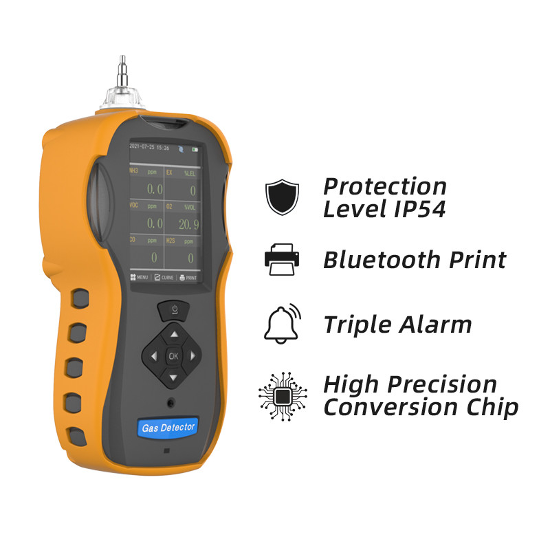 Hand Held Gas Testing Equipment , Pumping Suction Industrial Gas Monitors