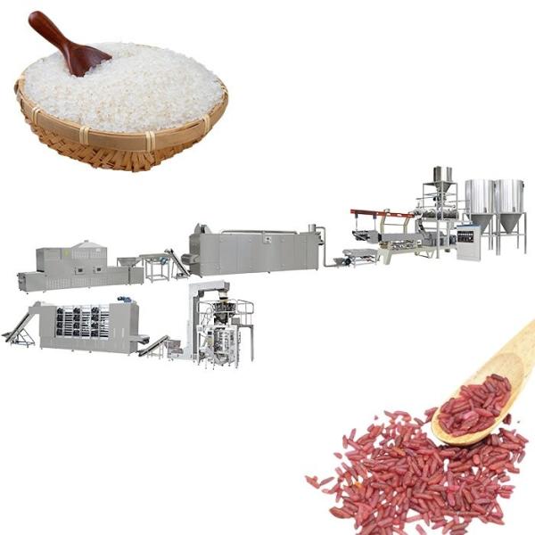 Stainless Steel 304 Artificial Rice Machine Automatic 1000kg/Hr Extruder