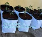 Planter Bags, Grow Bags, Cultivating Bags, Nursery Pot, Greenhouse, Agricultural