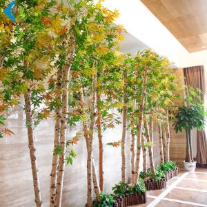 China Indoor Fake Birch Tree For Window Display Decoration 5-10 Years Life Time wholesale