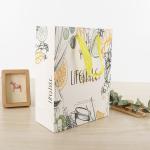 Stylish Retail Paper Shopping Bags Unique Printed For Gift Packing