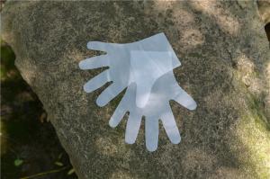 China Thick Latex Free Kitchen Disposable TPE Gloves wholesale
