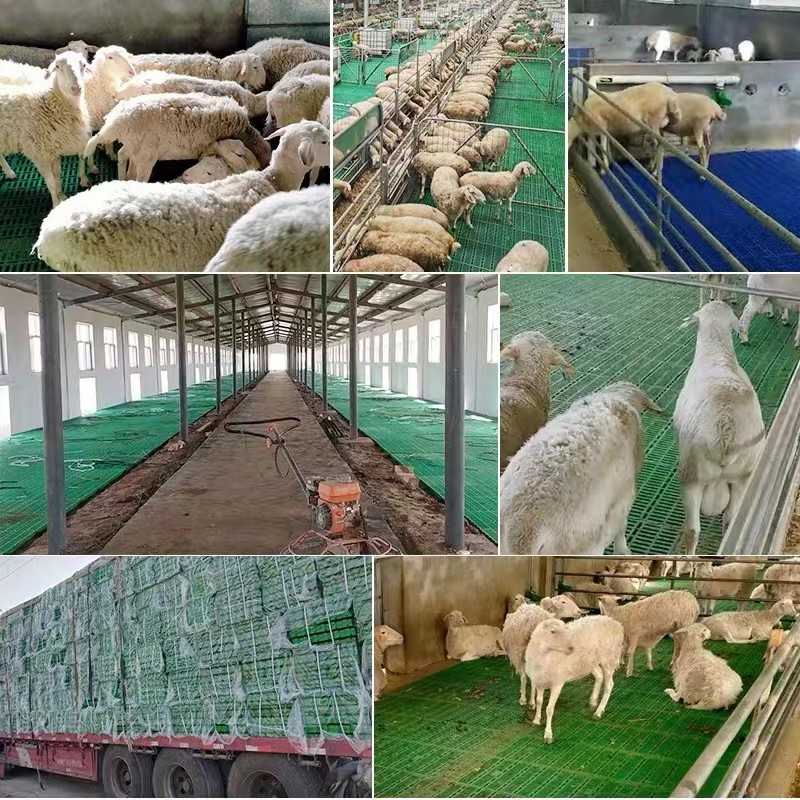 Sheep Farm Pure PP Plastic Slatted Floor Washable Easy To Install