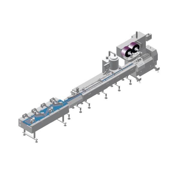 Fully Automatic Chocolate Bar/Biscuit/Cake Flowing Packing Machine Food Wrapping