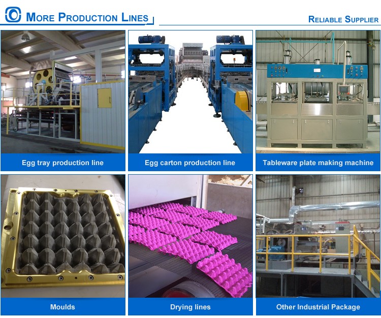 Rotary Egg Box Forming Machine 300KW Paper Moulding Pressure Vessel Control
