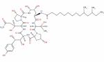 Pneumocandin B0 99%; CAS:135575-42-7 ;pneumocandin B(0);