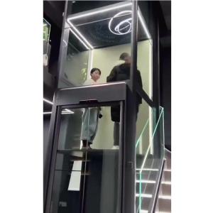 China Platform Smooth Screw Driven Elevator 0.15 M/S Speed wholesale