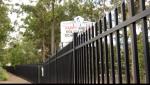 Diplomat Fencing Panels 1800mm x 2350mm Crimped Spear 25mm picket