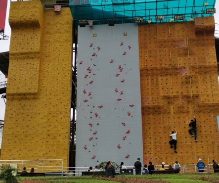 Max Capacity 100-500kg Climbing Bouldering Wall Holds for 6-55 Years Age Group Supply