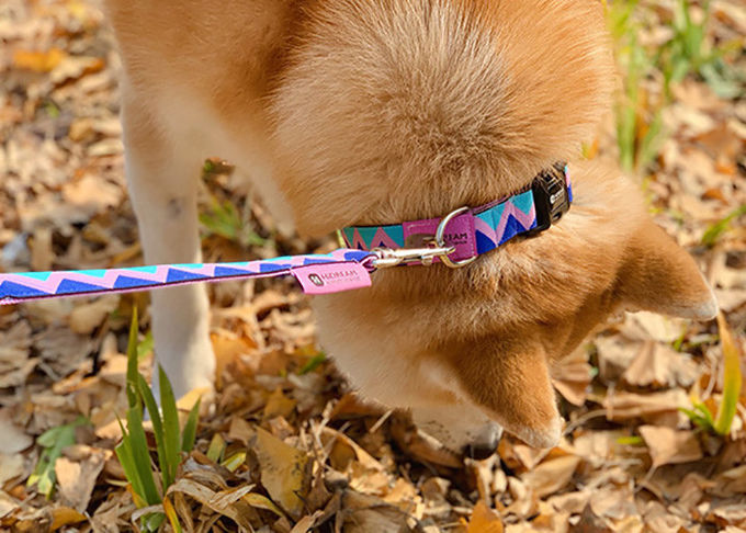 Pink Orange Nylon Rope Dog Collar With Buckle Adjustable Buffered