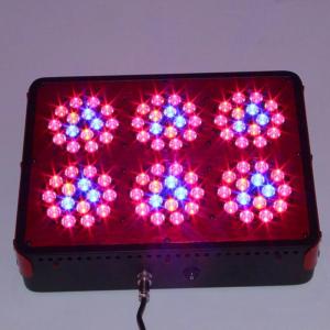 China Cidly 200W crecimiento plantas Led Grow Light indoor hydroponics Grow Lamp Fish Tank Light wholesale