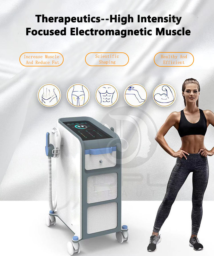 Fitness Electro EMS Sculpting Machine Slimming With 5 Handles