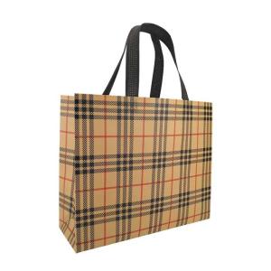 China Eco Friendly Non Woven Shopping Bags 60gsm Polypropylene Laminated wholesale