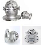 Excellent Low Temperature Foot Valve for Heavy Duty Applications