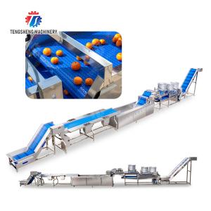 vegetable drying equipment Fruit and vegetable selection washing and drying