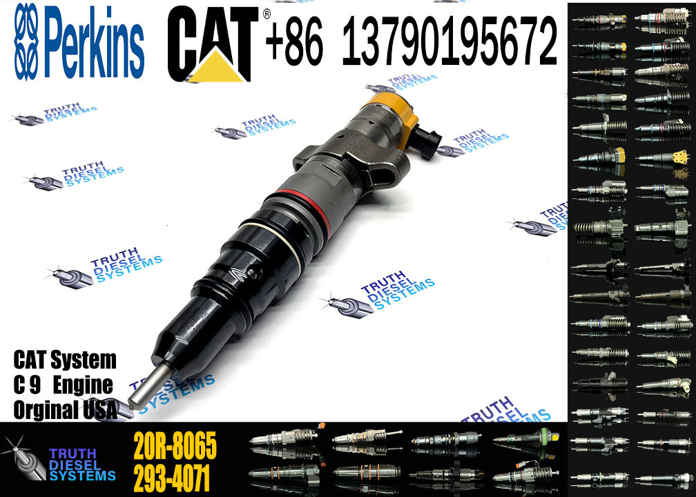CAT Diesel Engine Fuel Injector C9 20R-8065 328-2576 258-8745 265-8106 267-3361 387-9435 53L-8062 387-9437