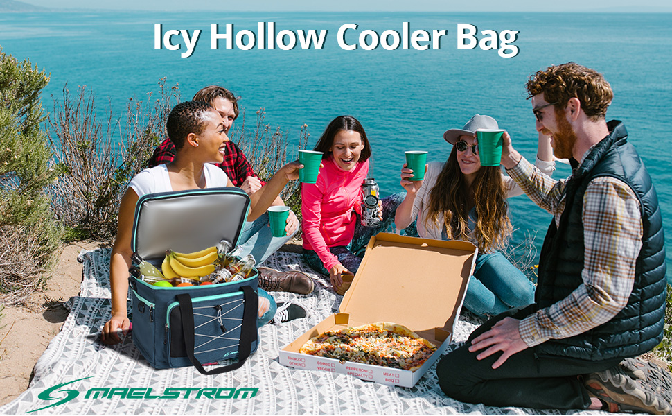 2 Double Layer Insulated Collapsible Lunch Bag 60 Can Large 15x10x14"
