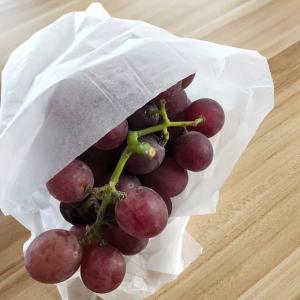 China Degradable Food Grade Fruit Wrapping Paper Waterproof Tissue Packaging wholesale