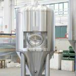GMP Pharmaceutical 5000L Pillow Plate Jacketed Tank