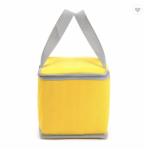 Large Non Woven Lunch Food Insulated Ice Bag Cooler With Aluminum Film