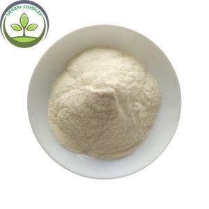 China Food Grade cili juice powder/ Rosa Roxburghii For Instant Tea Powder wholesale