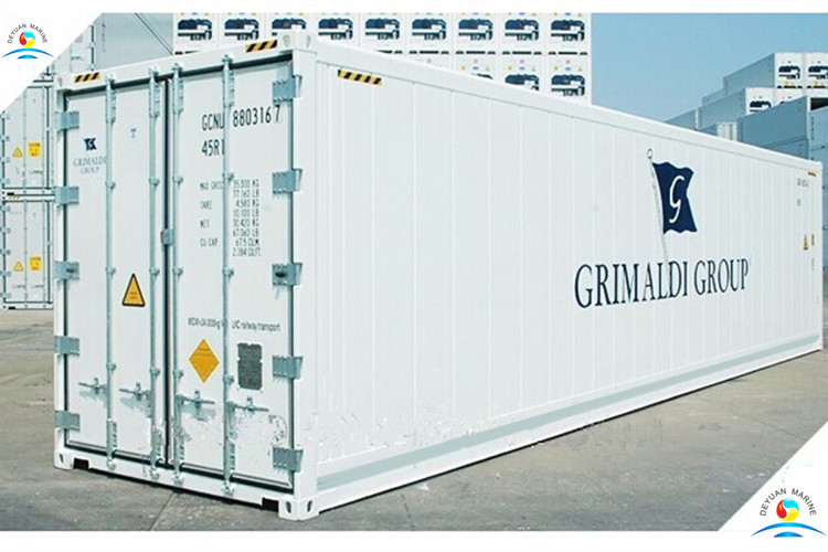 Insulated Carrier Refrigeration Standard Shipping Container 40ft Reefer Container