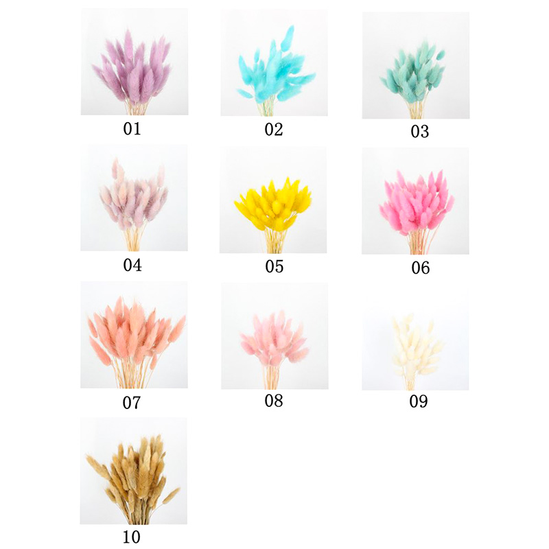 100% Natural Dried Rabbit Tail Grass , Pretty Dried Flowers Keep Freshness