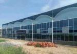 Intelligent Agricultural Greenhouse Steel Frame For Vegetables Garden Tomato