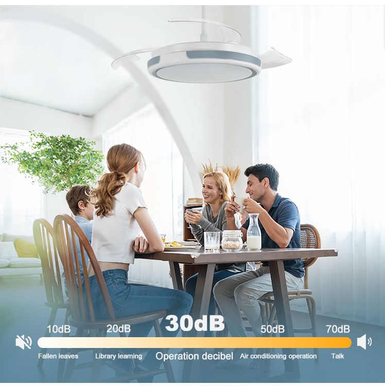 Indoor 42 Inch LED Ceiling Fan with Invisible Blades and Remote Control Switch Style