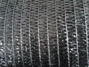 China agriculture green shade net wholesale