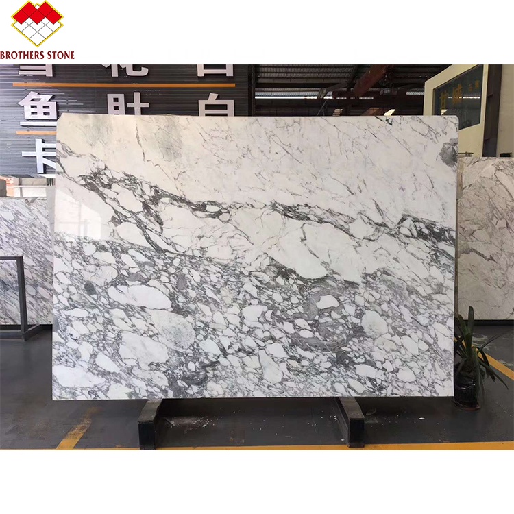 Statuario Venato Marble Italy White Marble Arabescato Marble Stone for Vanity Top