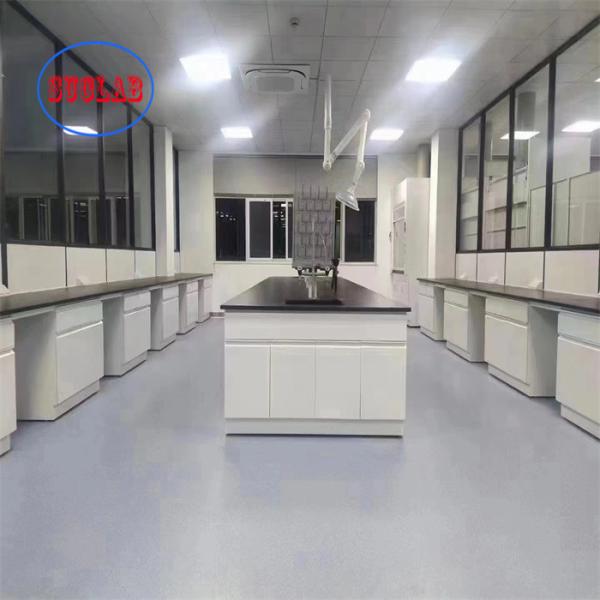 Customizable Chemistry Lab Furniture Modern Powder Coated Tables Integrated