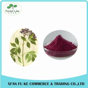China 100% Natural Elderberry Extract Powder 10:1 20:1 wholesale