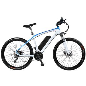 48T Alu Lightweight Electric Hybrid Bike Dualwalled Rims 1000W