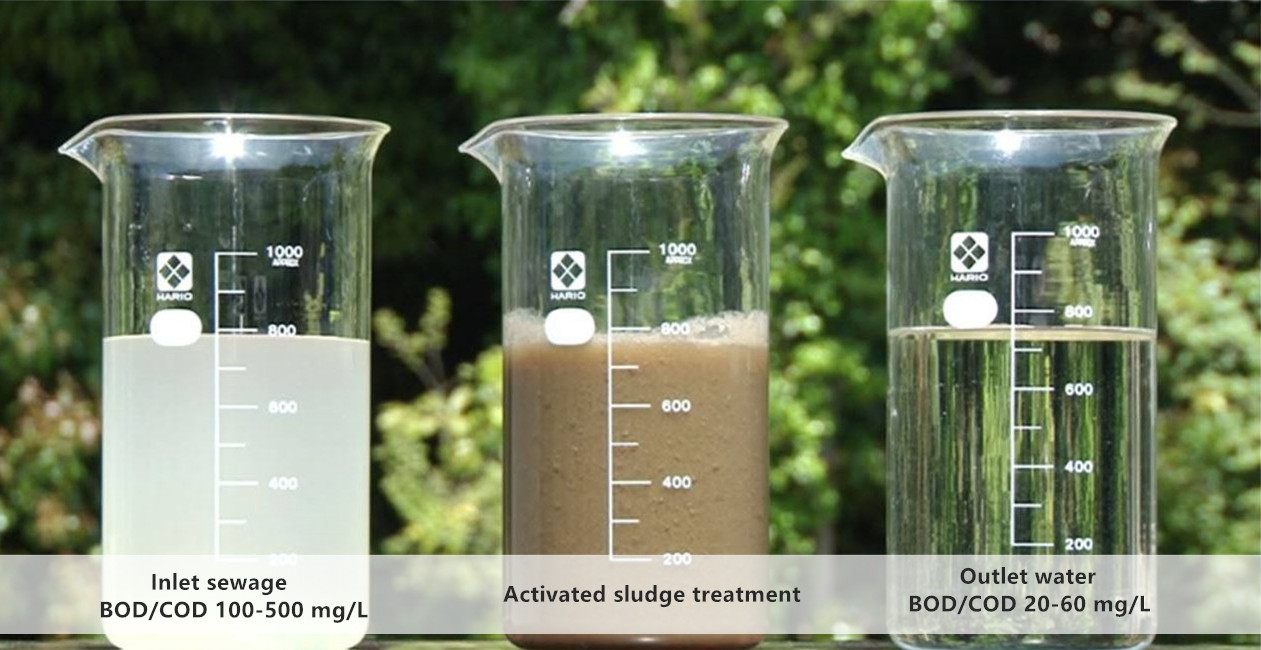 High Capacity Domestic Sewage Treatment Plant with 0.5-30m3/h Capacity and 3000KG