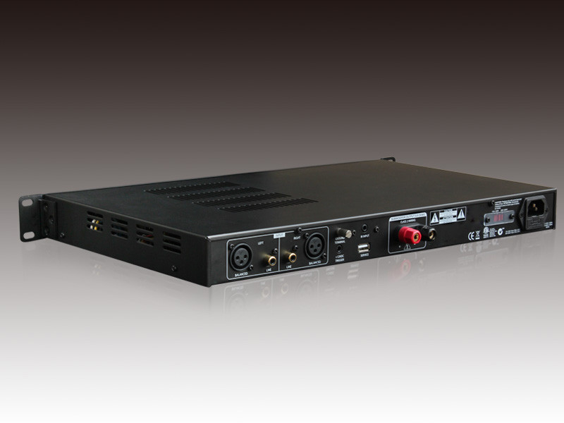 Home Theater Mono Subwoofer Amplifier With Onboard DSP Subwoofer Amp 500 Watts