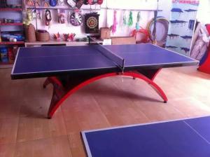 China SMC rainbow leg ping-pang table YGTT-090 wholesale