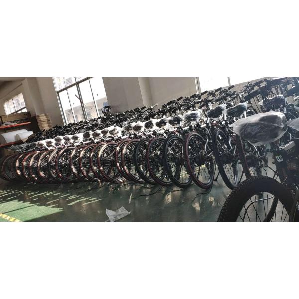 20 Inch 350W Electric Folding Fat Bike CE Certificate Waterproof In Rain