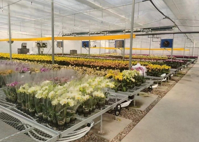 Galvanized Expanded Metal Plant Bench Table Greenhouse For Flower Vegetable Stand