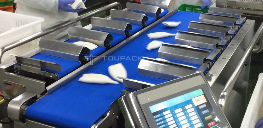 PLC Control System 12 Head Combination Weigher For Squid Cone Quail Eggs